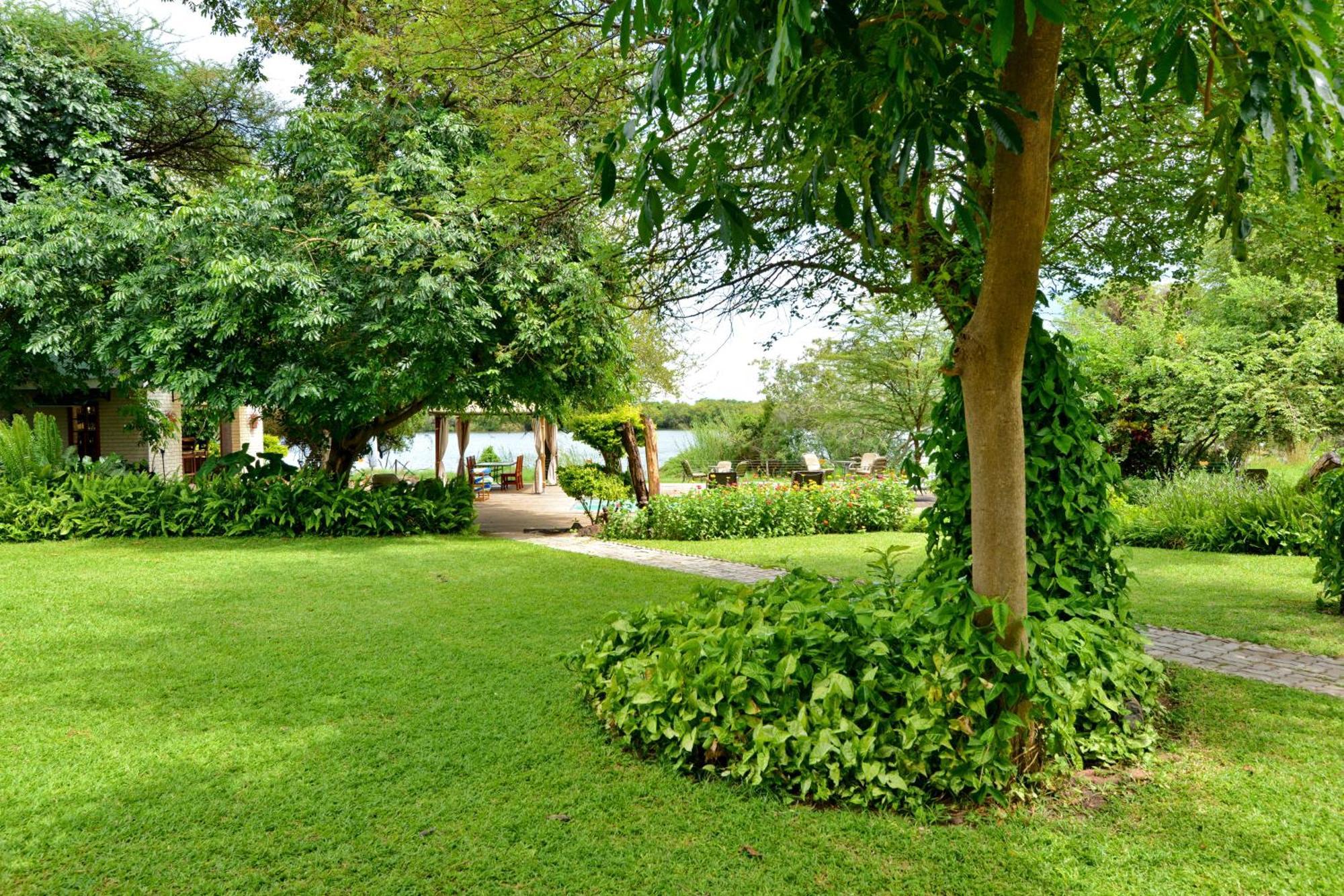 River View Lodge Kasane Værelse billede